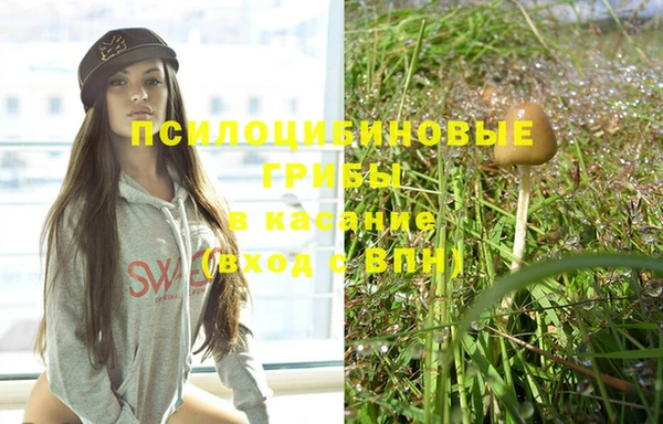 молекула духа Алексин