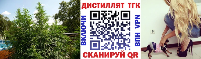 ТГК гашишное масло Алексин
