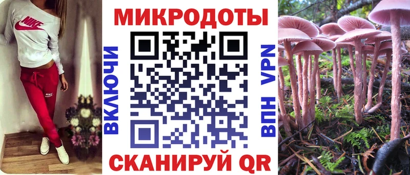 Галлюциногенные грибы Magic Shrooms  наркошоп  Алексин 